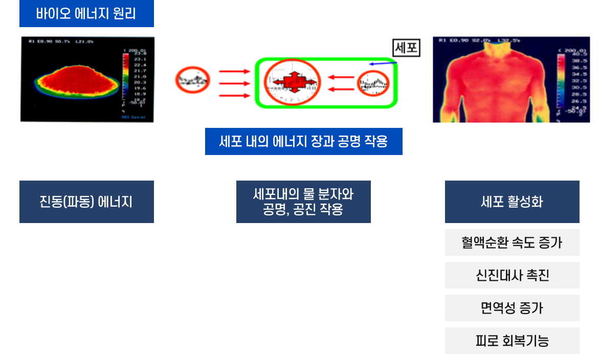 Easy Kill 기술